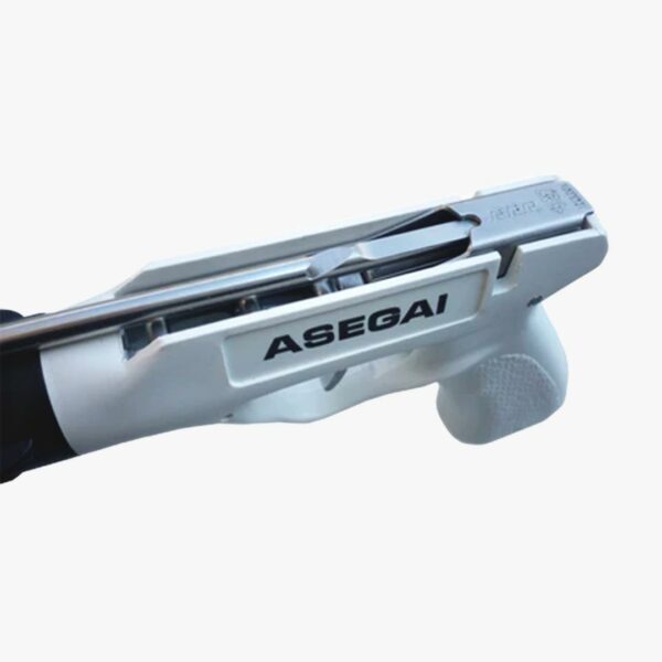 Crosse Picasso Asegai