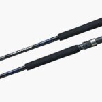 Canne Shimano Grappler Type C