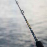 Canne Shimano Anthem SW