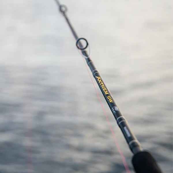 Canne Shimano Anthem SW