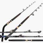 Canne Shimano Tiagra TCurve