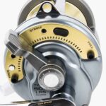 Moulinet Shimano Tyrnos 50LRS 2-Speed