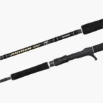 Canne Shimano Anthem SW