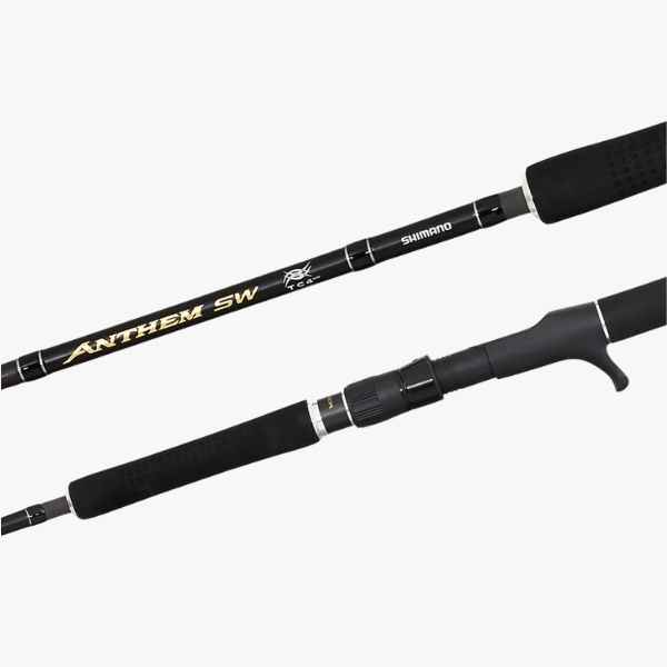 Canne Shimano Anthem SW