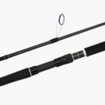 Canne Shimano Anthem SW