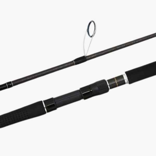 Canne Shimano Anthem SW