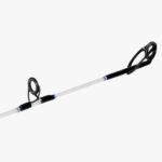 Canne Shimano Aquatip