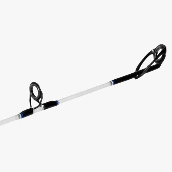 Canne Shimano Aquatip