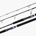 Canne Shimano Extraction