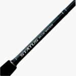 Canne Shimano Status Bluewater Deep Drop