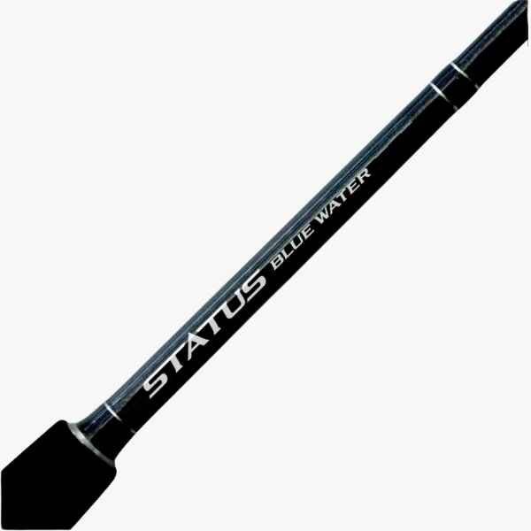 Canne Shimano Status Bluewater Deep Drop