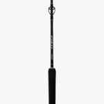 Canne Shimano Terez