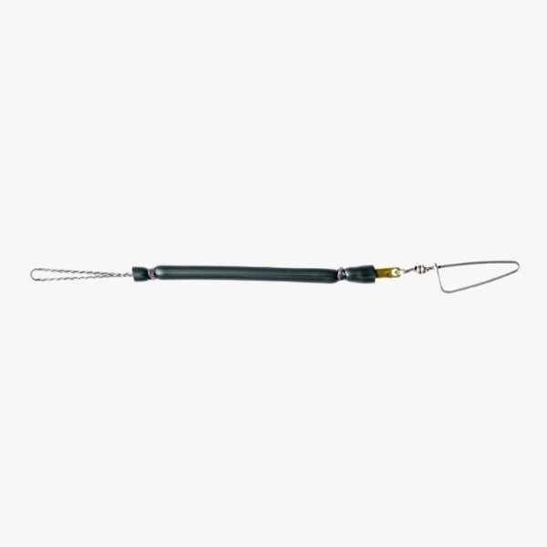 Extender Rob Allen