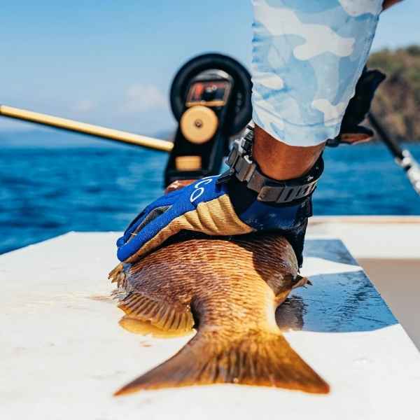 Gants Aftco Release