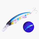 Leurre Fjord Sub Minnow S