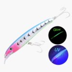 Leurre Fjord Classic Minnow F
