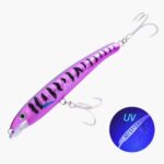 Leurre Fjord Classic Minnow F