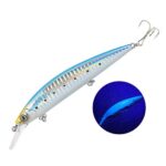 Leurre Fjord Heavy Minnow S