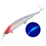 Leurre Fjord Heavy Minnow S