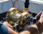 Moulinet Shimano Tiagra