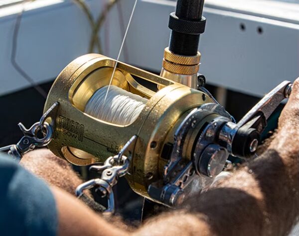 Moulinet Shimano Tiagra