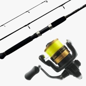 Combo Shimano FX Spin 6.62SP/FX 2500FCL