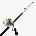 Combo Shimano Talica 50/2sp - Tcurve 24/37kg