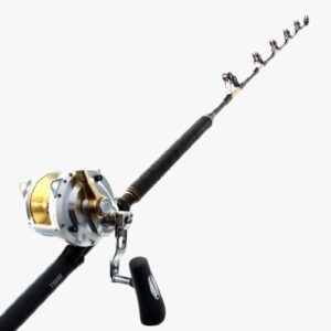 Combo Shimano Talica 50/2sp - Tcurve 24/37kg