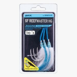 Hameçon Jig BKK Reef Master HG
