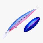 Leurre Fjord Reflect Minnow S