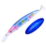 Leurre Fjord Reflect Minnow S