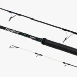 Canne Shimano Hydra