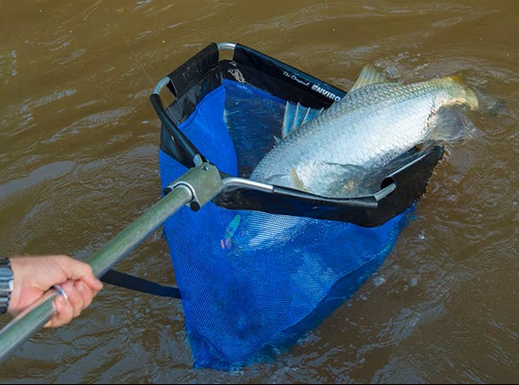 Epuisette Shimano Environets